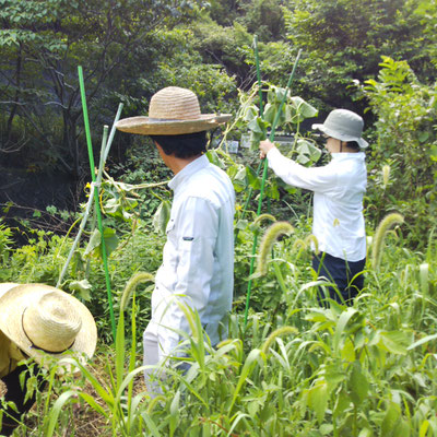 8月定例会　活動報告