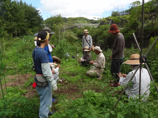 10月定例会　ソラマメの種まき