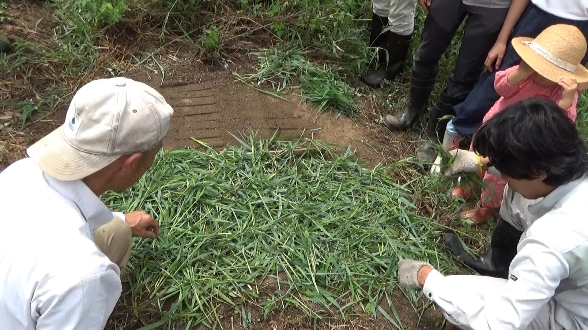 玉ねぎの苗床づくり　9月定例会