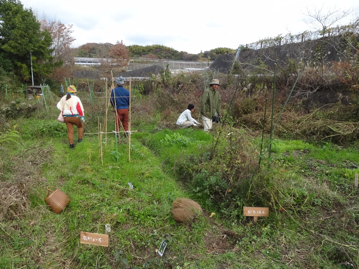 みぞのべ自然農園