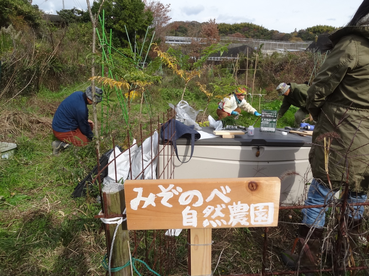 みぞのべ自然農園