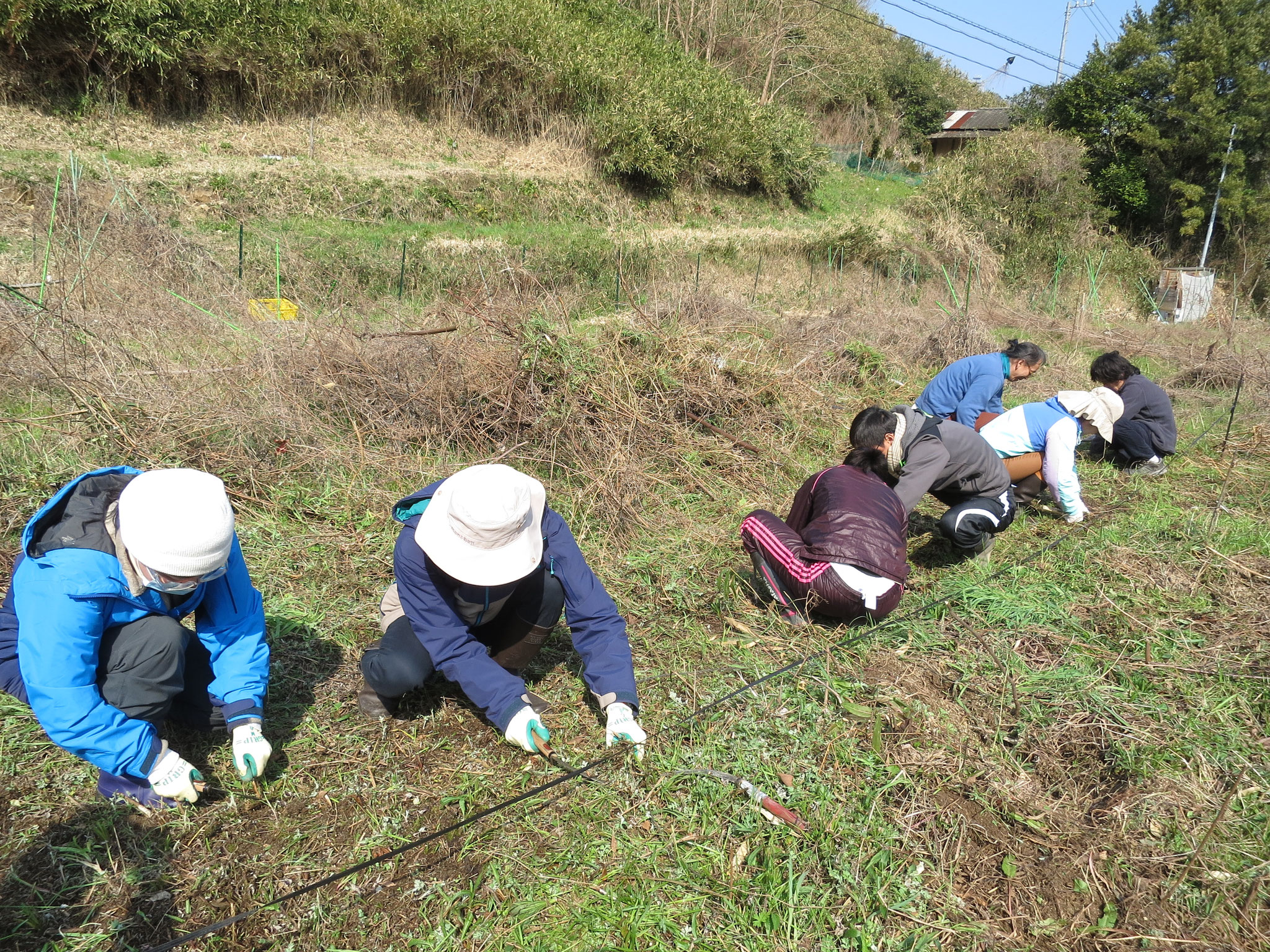 作業のようす