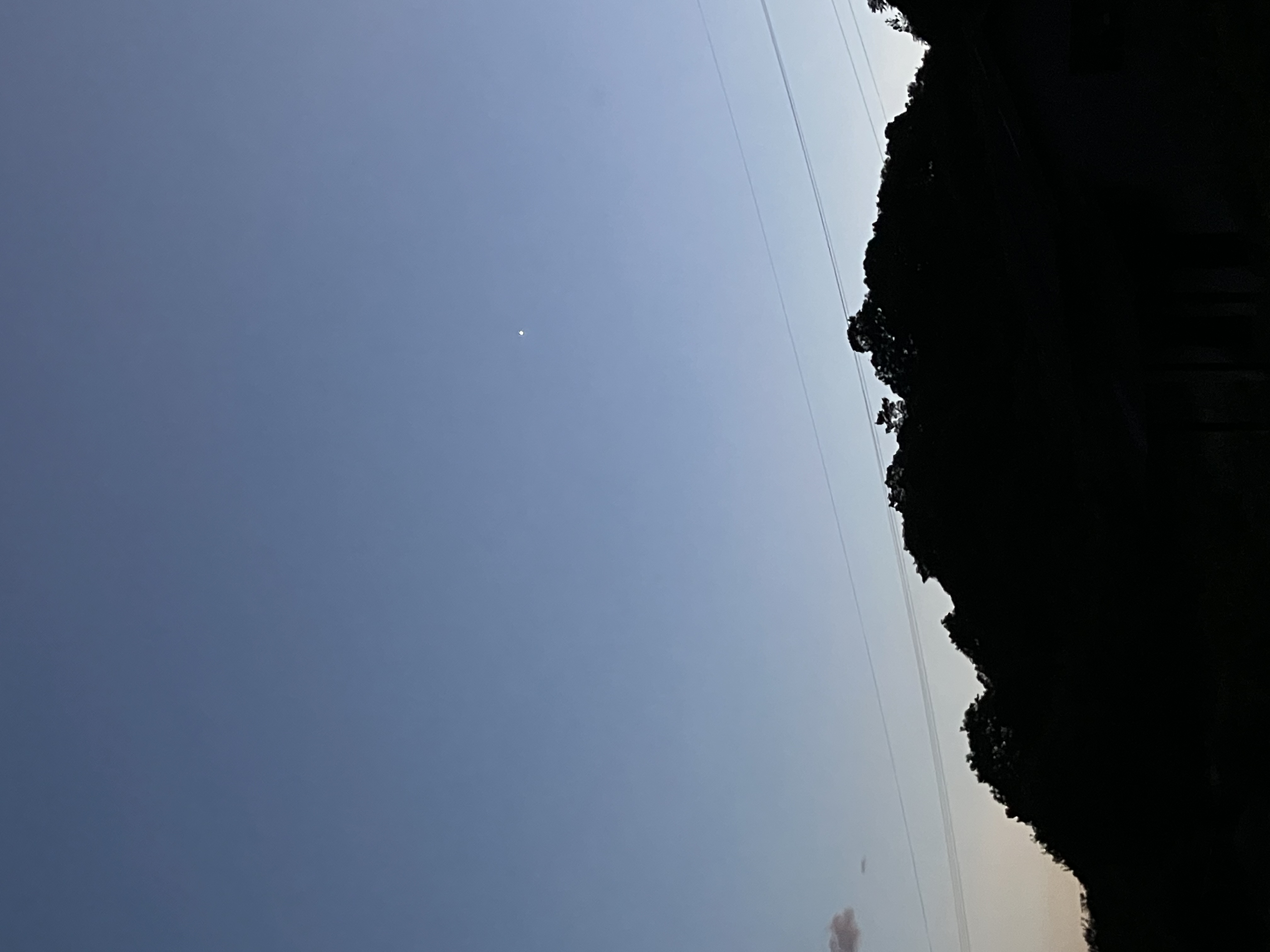 田んぼのようす